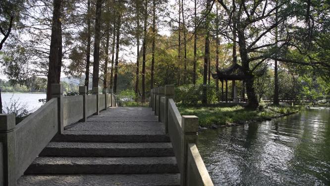 杭州西湖三堤之一杨公堤风景视频素材