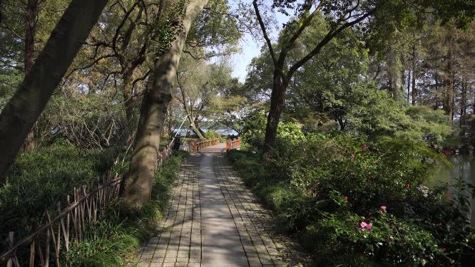 杭州西湖三堤之一杨公堤风景视频素材
