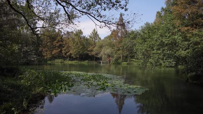 杭州西湖三堤之一杨公堤风景视频素材