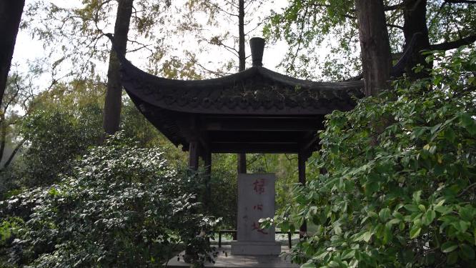 杭州西湖三堤之一杨公堤风景视频素材