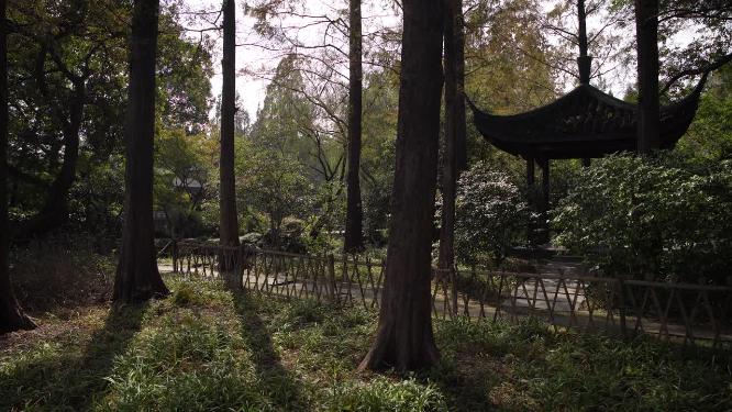 杭州西湖三堤之一杨公堤风景视频素材