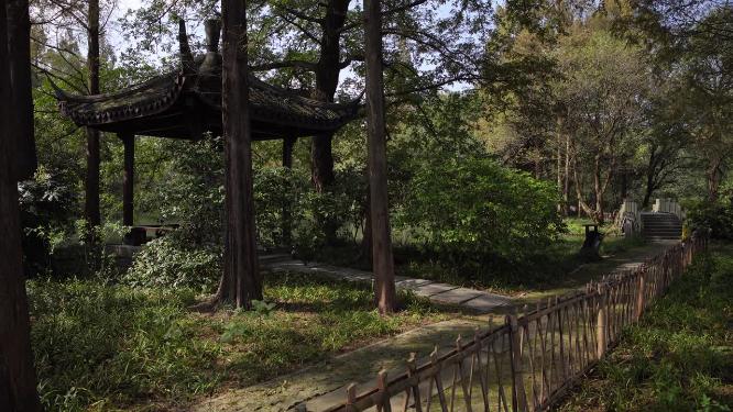 杭州西湖三堤之一杨公堤风景视频素材