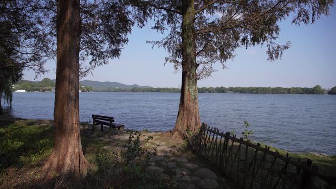 杭州西湖三堤之一杨公堤风景视频素材
