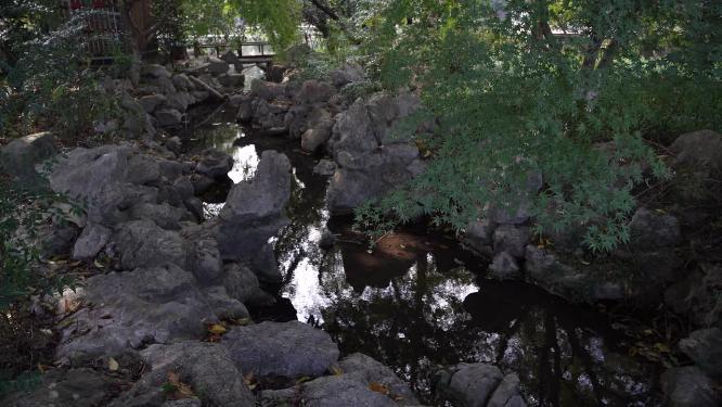 杭州西湖三堤之一杨公堤风景视频素材