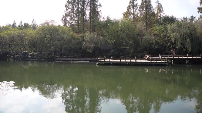 杭州西湖三堤之一杨公堤风景视频素材