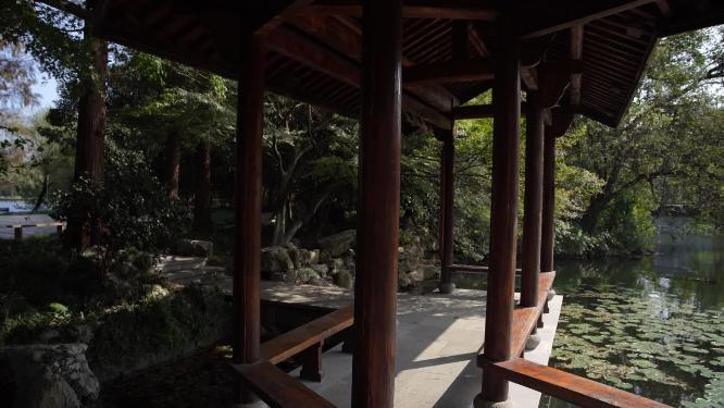 杭州西湖三堤之一杨公堤风景视频素材