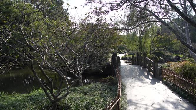杭州西湖花港观鱼风景实拍视频