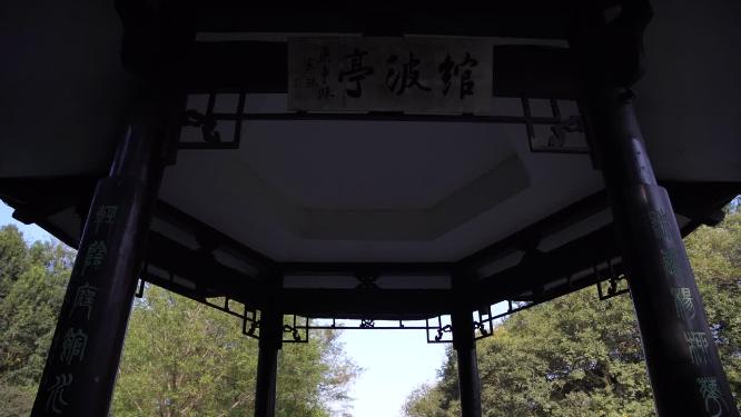 杭州西湖花港观鱼风景实拍视频