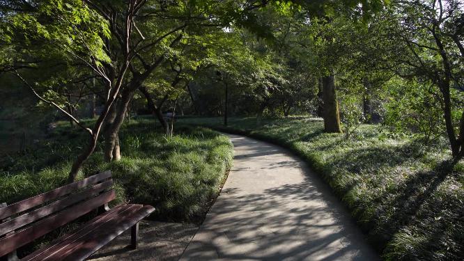 杭州西湖花港观鱼风景实拍视频