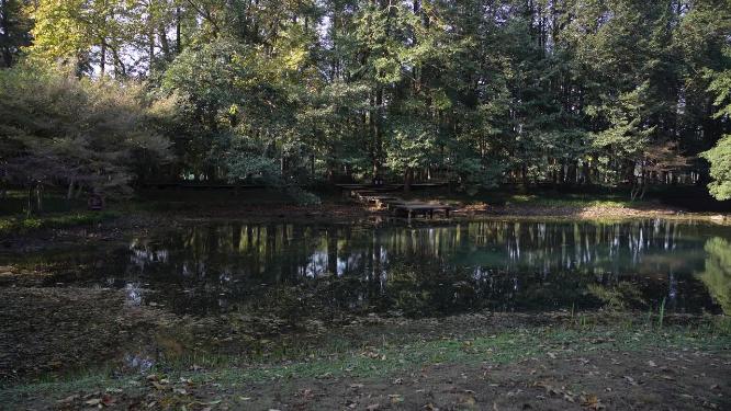杭州西湖太子湾公园风景视频素材