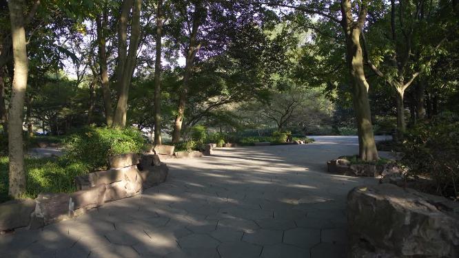 杭州西湖太子湾公园风景视频素材