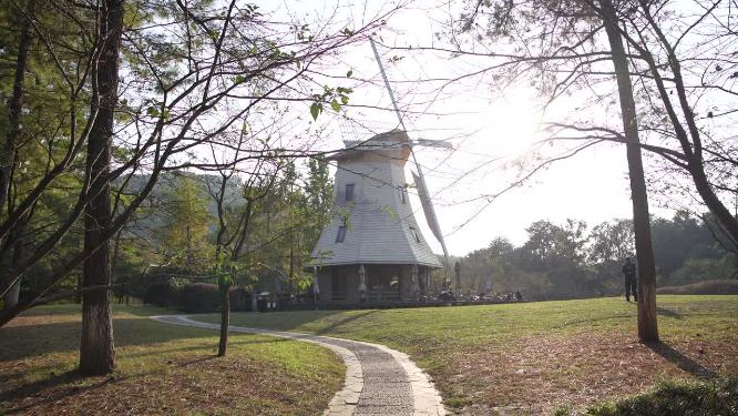 杭州西湖太子湾公园风景视频素材