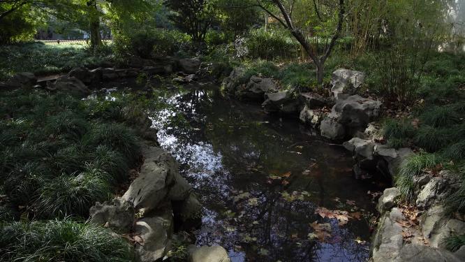杭州西湖曲院风荷竹素园风景视频
