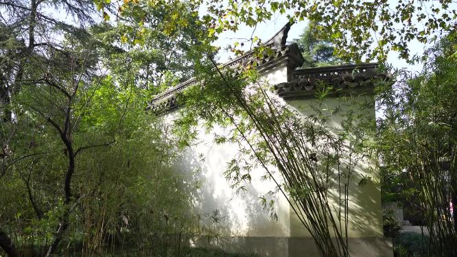 杭州西湖曲院风荷竹素园风景视频
