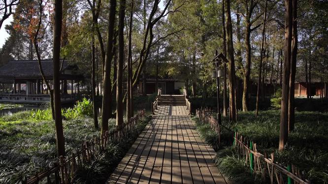 杭州西湖茅家埠江南水乡风景视频素材