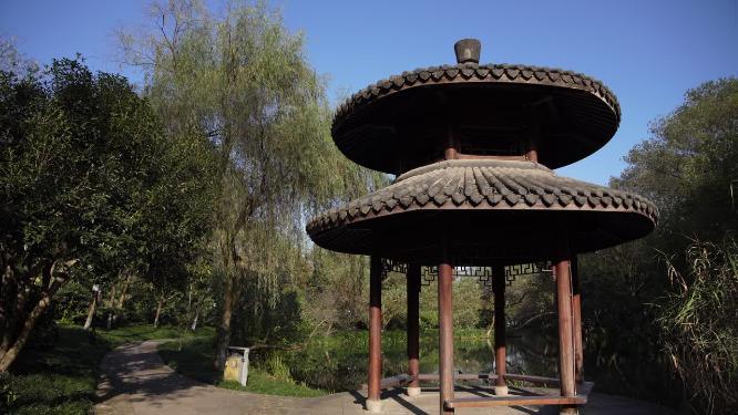杭州西湖茅家埠江南水乡风景视频素材
