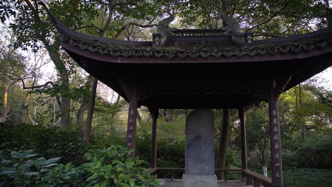 杭州西湖新梨园视频素材