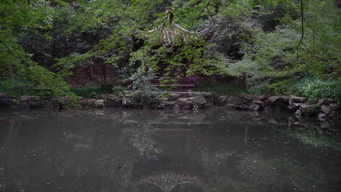 杭州西湖虎跑公园视频素材