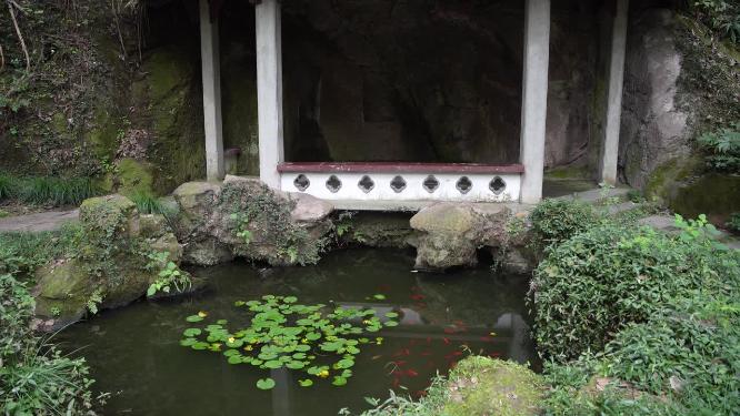 杭州西湖孤山南麓六一泉视频素材