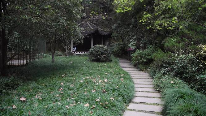杭州西湖孤山南麓六一泉视频素材
