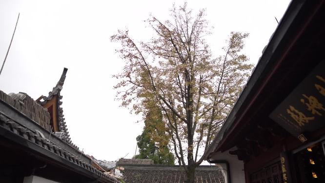 杭州玉皇山福星观道观实拍视频