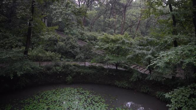 杭州西湖虎跑公园视频素材