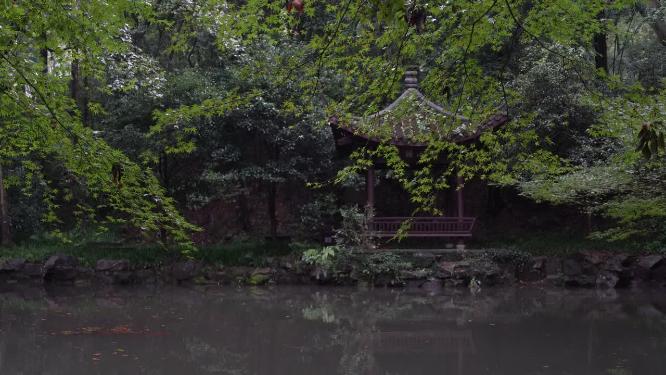 杭州西湖虎跑公园视频素材