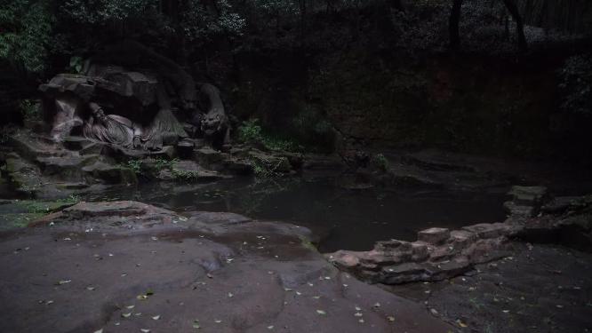 杭州西湖虎跑公园视频素材