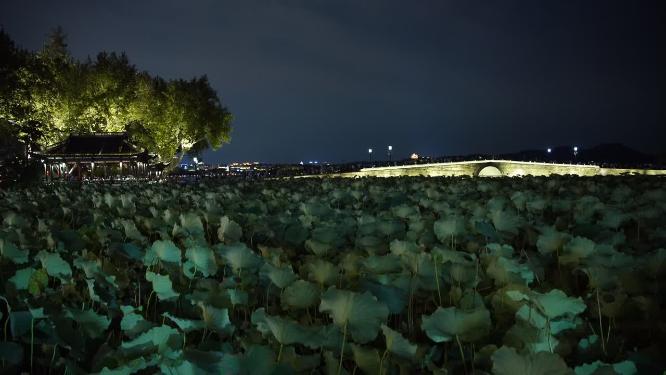 杭州西湖宝石山保俶塔夜景视频素材