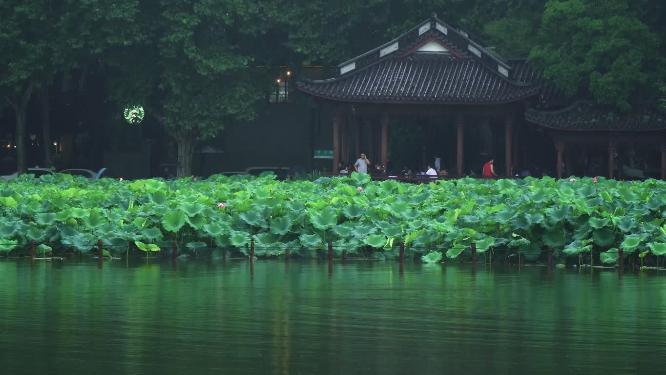 杭州西湖宝石山保俶塔夜景视频素材