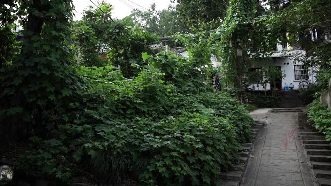 杭州吴山景区白马庙巷视频素材