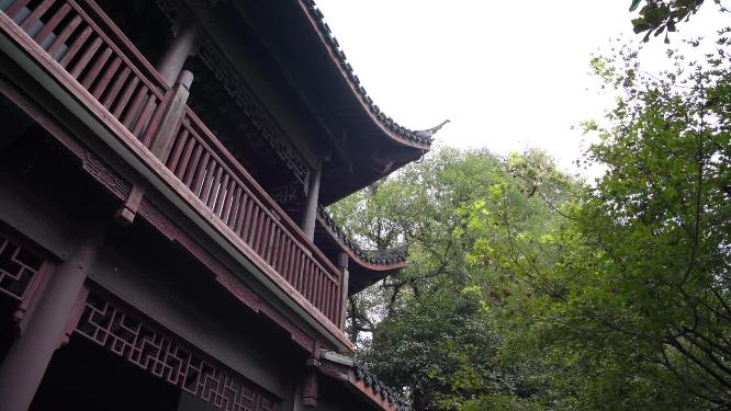 杭州西湖第一楼俞曲园纪念馆视频素材