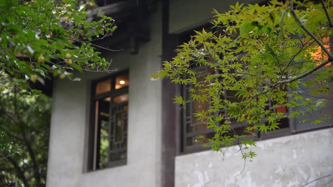 杭州西湖第一楼俞曲园纪念馆视频素材