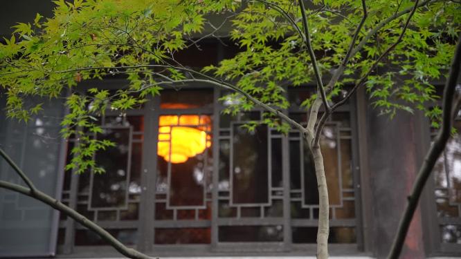 杭州西湖第一楼俞曲园纪念馆视频素材