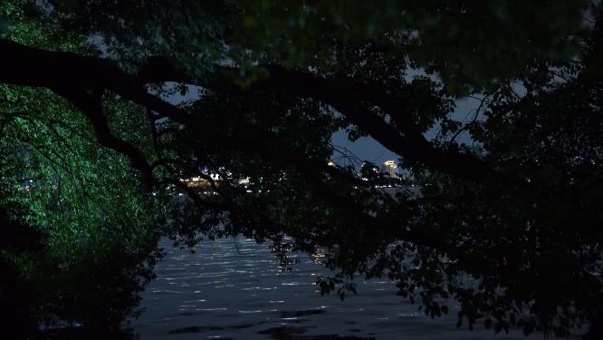 杭州西湖夜景水面倒影视频素材