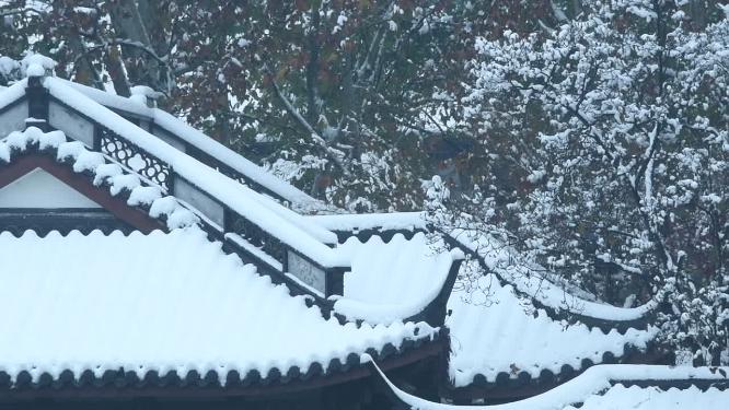 杭州西湖冬天雪景实拍视频