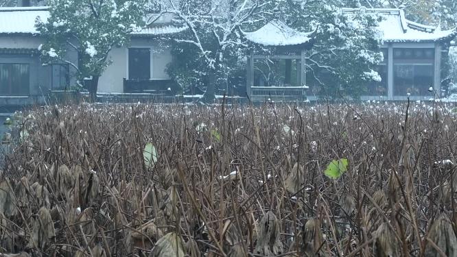 杭州西湖冬天雪景实拍视频