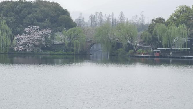 杭州西湖西泠桥烟雨江南视频素材