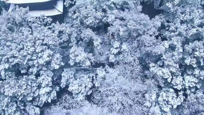 杭州吴山城隍阁冬天雪景航拍视频素材