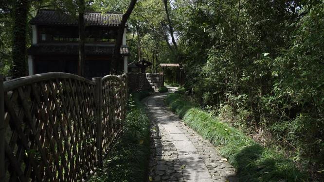 杭州国家西溪湿地公园实拍视频