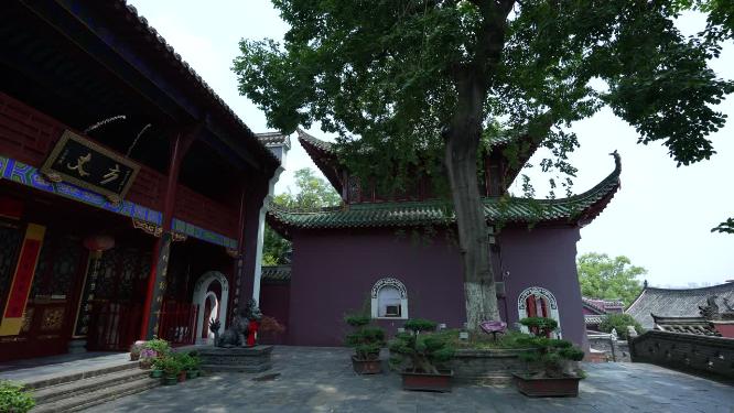 武汉武昌长春观景点实拍视频