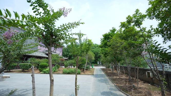武汉武昌长春观景点实拍视频