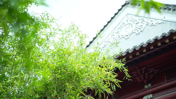 武汉武昌长春观景点实拍视频