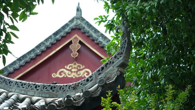 武汉武昌长春观景点实拍视频
