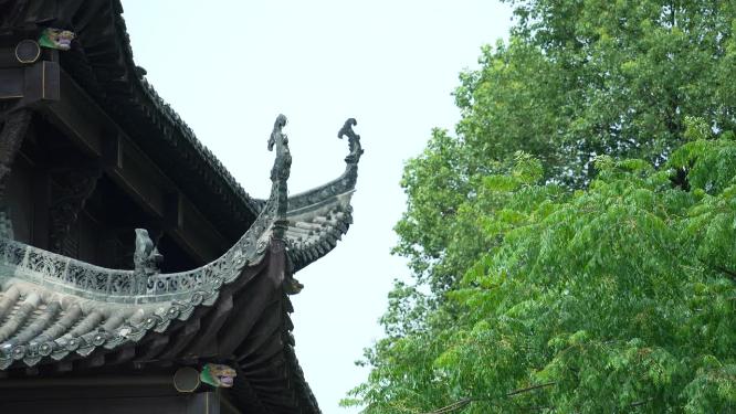 武汉武昌长春观景点实拍视频