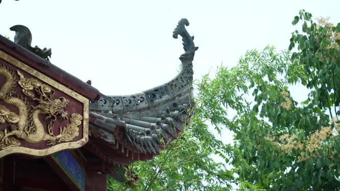 武汉武昌长春观景点实拍视频
