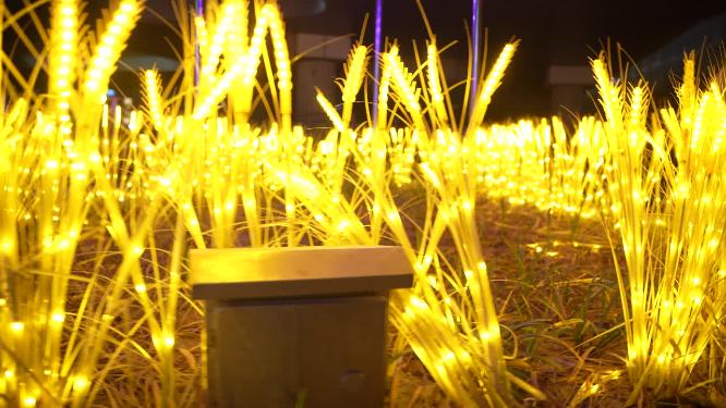 杭州钱江世纪公园夜景实拍视频素材