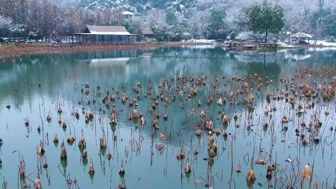 杭州玉皇山八卦田遗址公园雪景