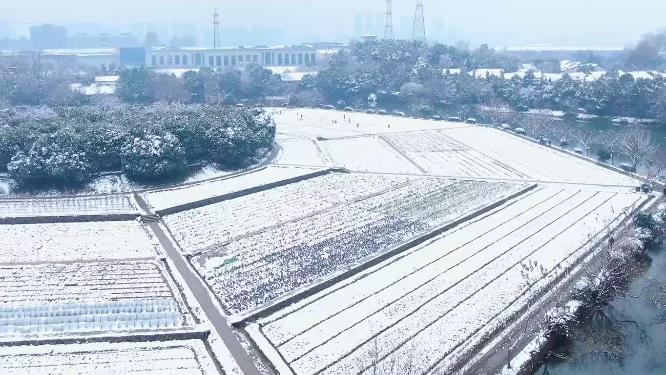 杭州玉皇山八卦田遗址公园雪景