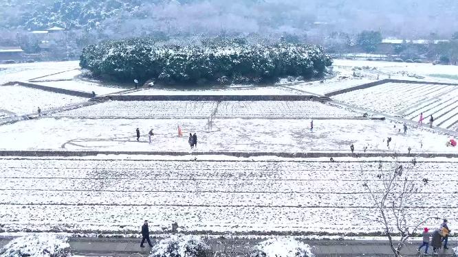 杭州玉皇山八卦田遗址公园雪景